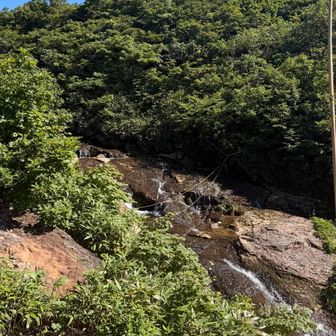 渡渉は水多めでした