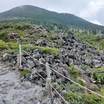 初めての坪庭、
周回コースになってる