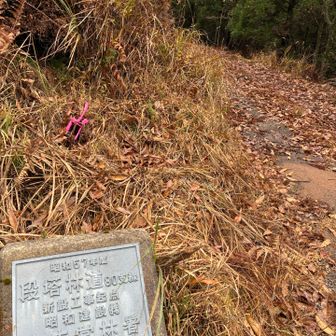 昭和57年からあるんですね🤔