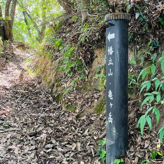 八尾山頂は、こちらです
