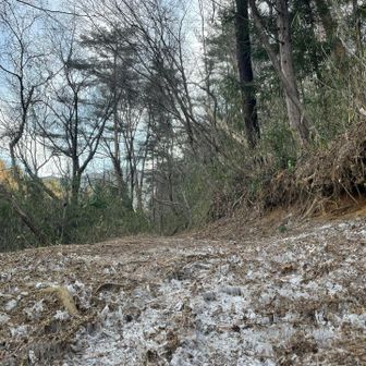 分厚い霜柱をザクザク踏んでいきます

この日、
行程のあちこちで
終日見られました

