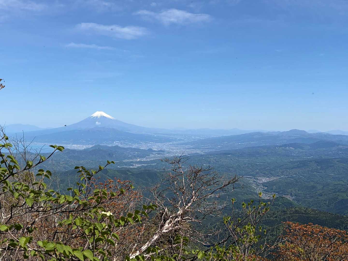樹林帯の隙間からMt.Fujiハント