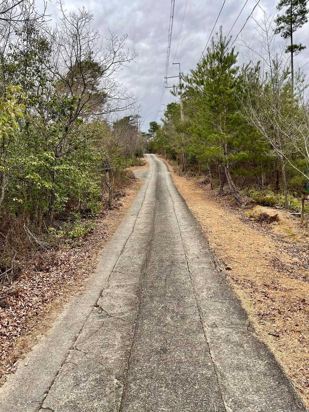 西山 往復コースの写真