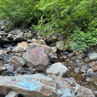 ここで沢登りは終わり