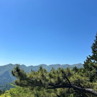 焼山の展望塔から蛭ガ岳から丹沢山の稜線