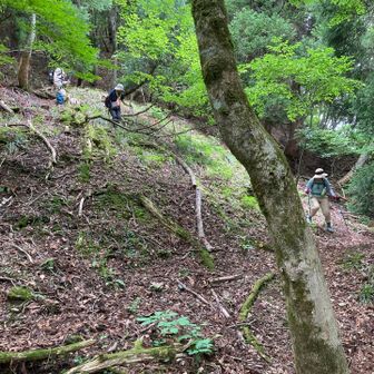 下山してます♪