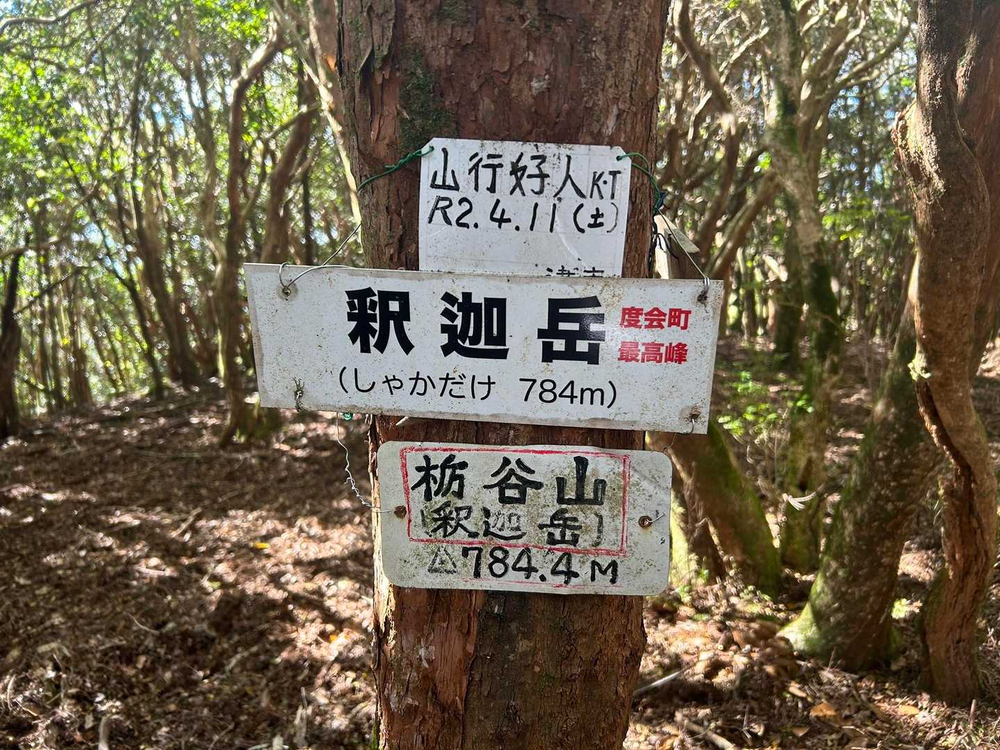藤越-栃谷山-釈迦岳-釈迦岳 往復コースの写真