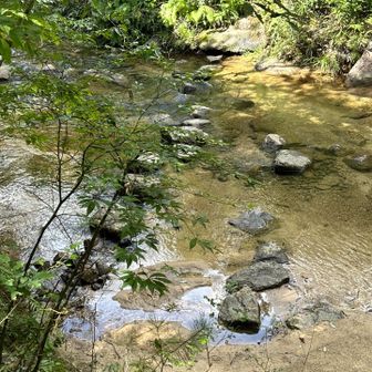 鎧ダム方面は川を渡ります。