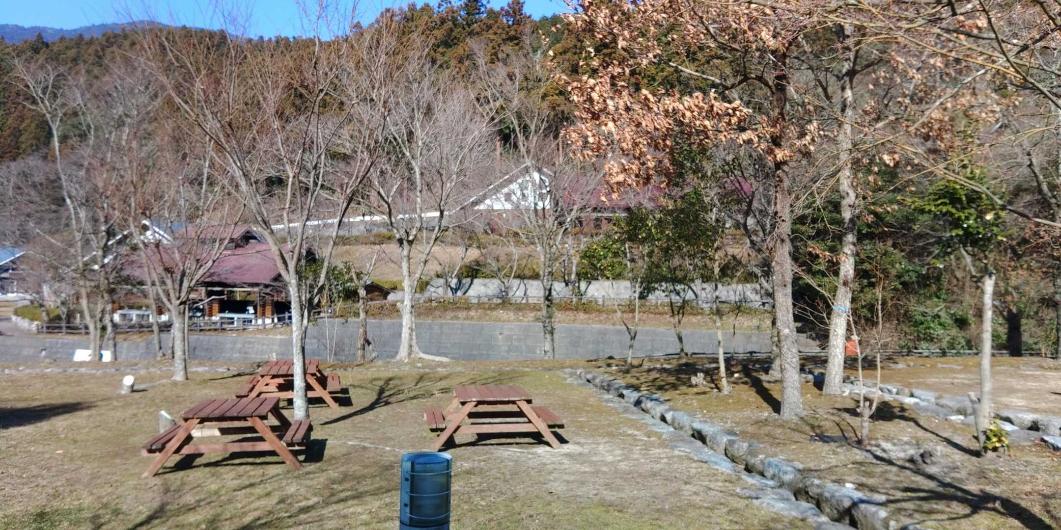 大根地山 往復コースの写真
