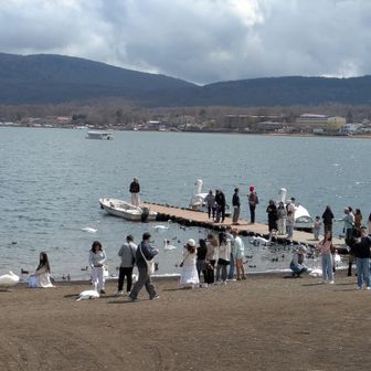 広いサイクリングロードを歩いていくと、楽しそうな所が
降りていこうかと思ったけど、入口ゲートで白鳥のエサを買わないと入れない、、温泉入りたいしやめました😅

インバウンドの方にはきれいな富士山、見て欲しかったな