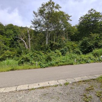 駐車場に帰着