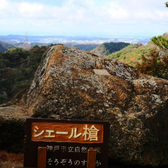そう、もう最初からそうやっといて。
余計なの必要ないから。