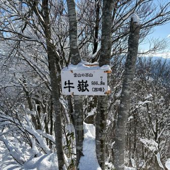 いつのまにか看板が