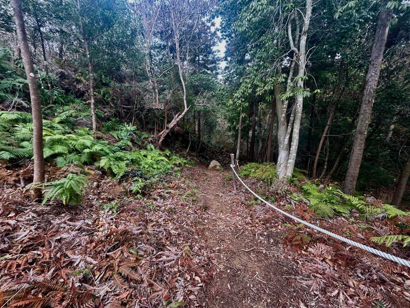 六畳岩 往復コースの写真