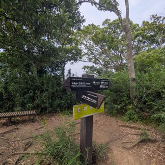 ２座目、勝上山の山頂