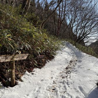 出発。雪が少ない。