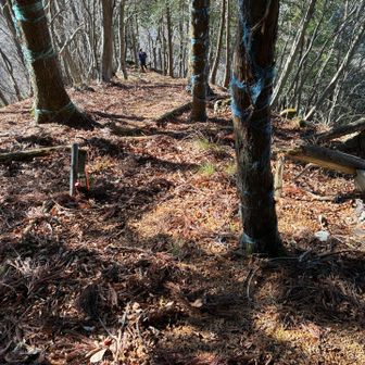 下りが続いたら、登り返しあるよね😆