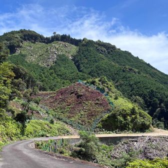 ここから山頂付近まではほぼ木陰なし、熱い