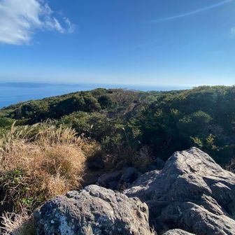 頂上にはお鉢（火口）がありそうだが、植物に覆われていて分からなかった