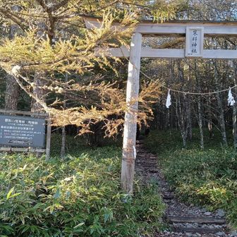 登山口には鳥居。
