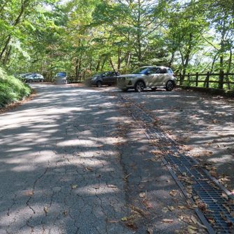 駐車に戻りました。駐車スペースの半分ぐらいは空きが出ていました。