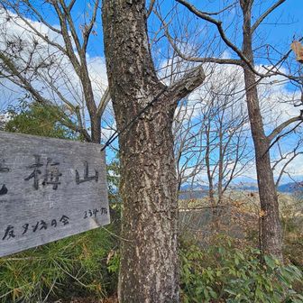 行きにスルーしてしまった
老梅山