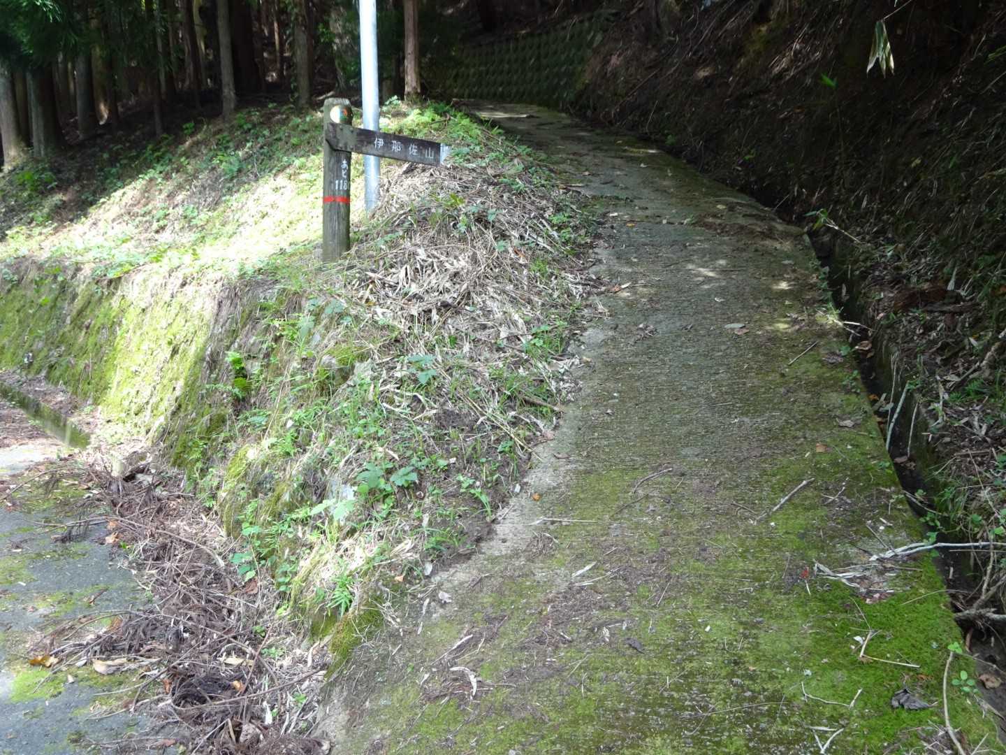 伊那佐山 往復コースの写真