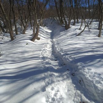 御堂山、奥獅子吼方向
ワカンをしなくて歩くのは、なんと楽なんでしょう😄
登りも下りもツボ足でOKでした👍