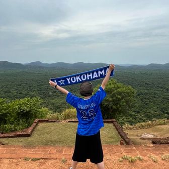 横国系やきう女子