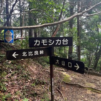 イン谷まで後少し