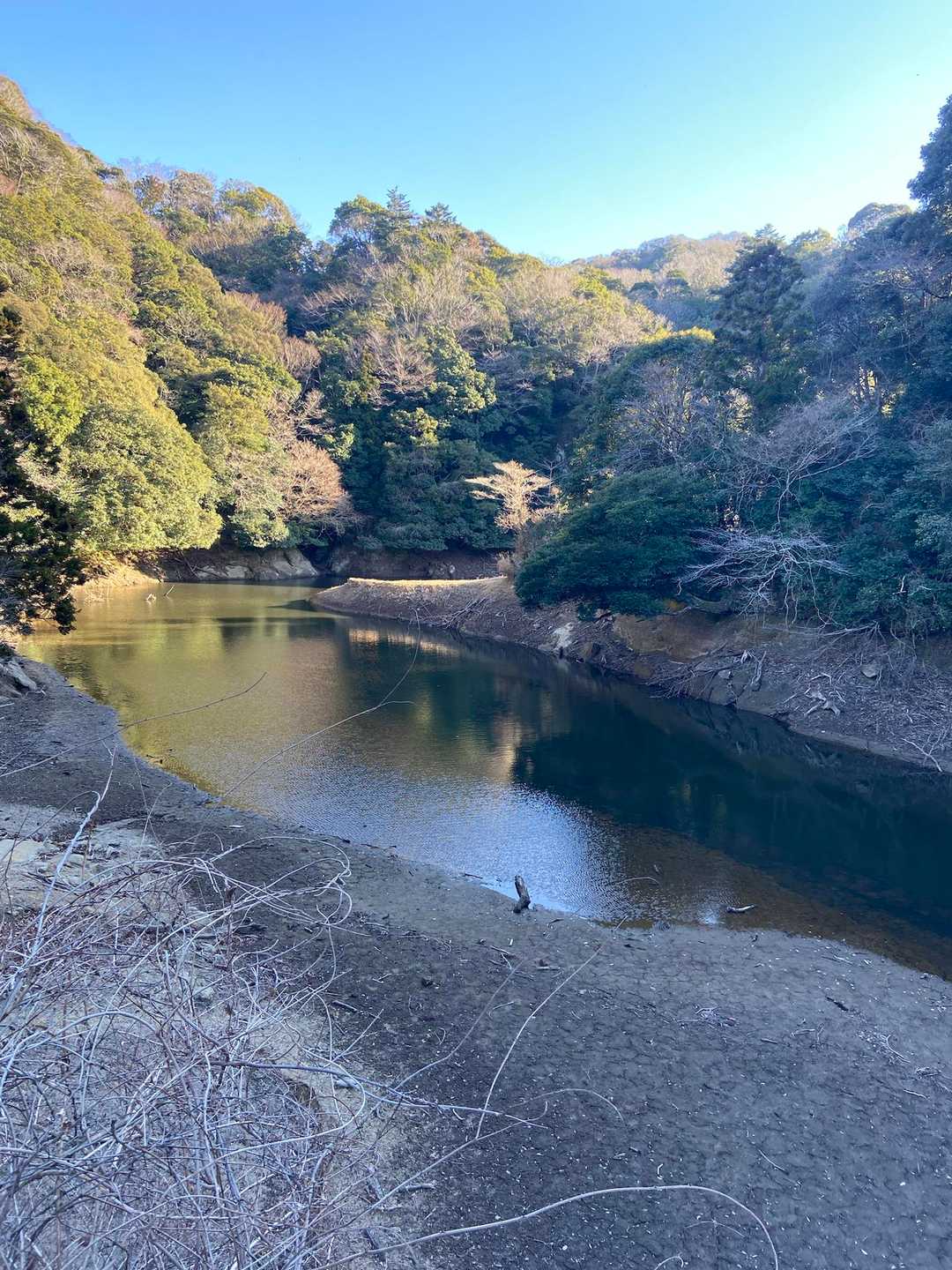 白い橋まで来ました。あとは、らくらくコース