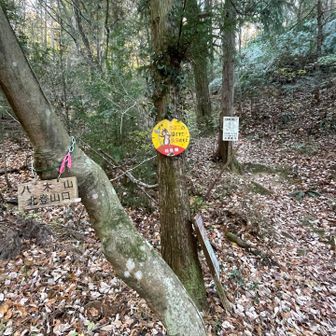 各務原アルプス（関南アルプス）・八木三山 無事下山