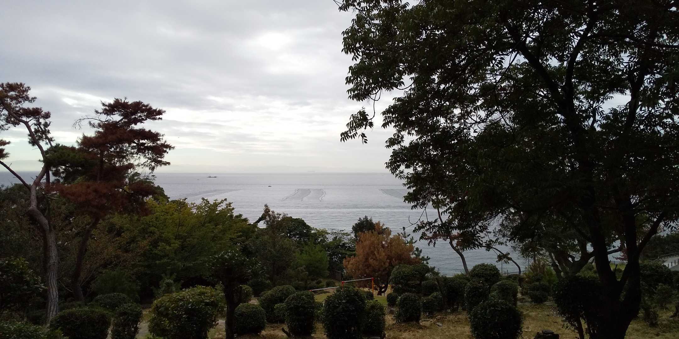 神戸の山は海が見えるのがいいですねぇ☺️
