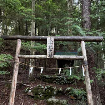 大山祇大神⛩