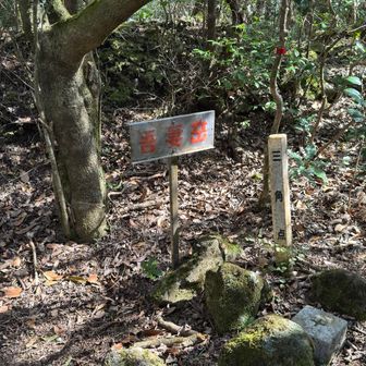 吾妻岳山頂です。