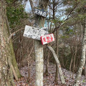 ここから一旦下山します。
