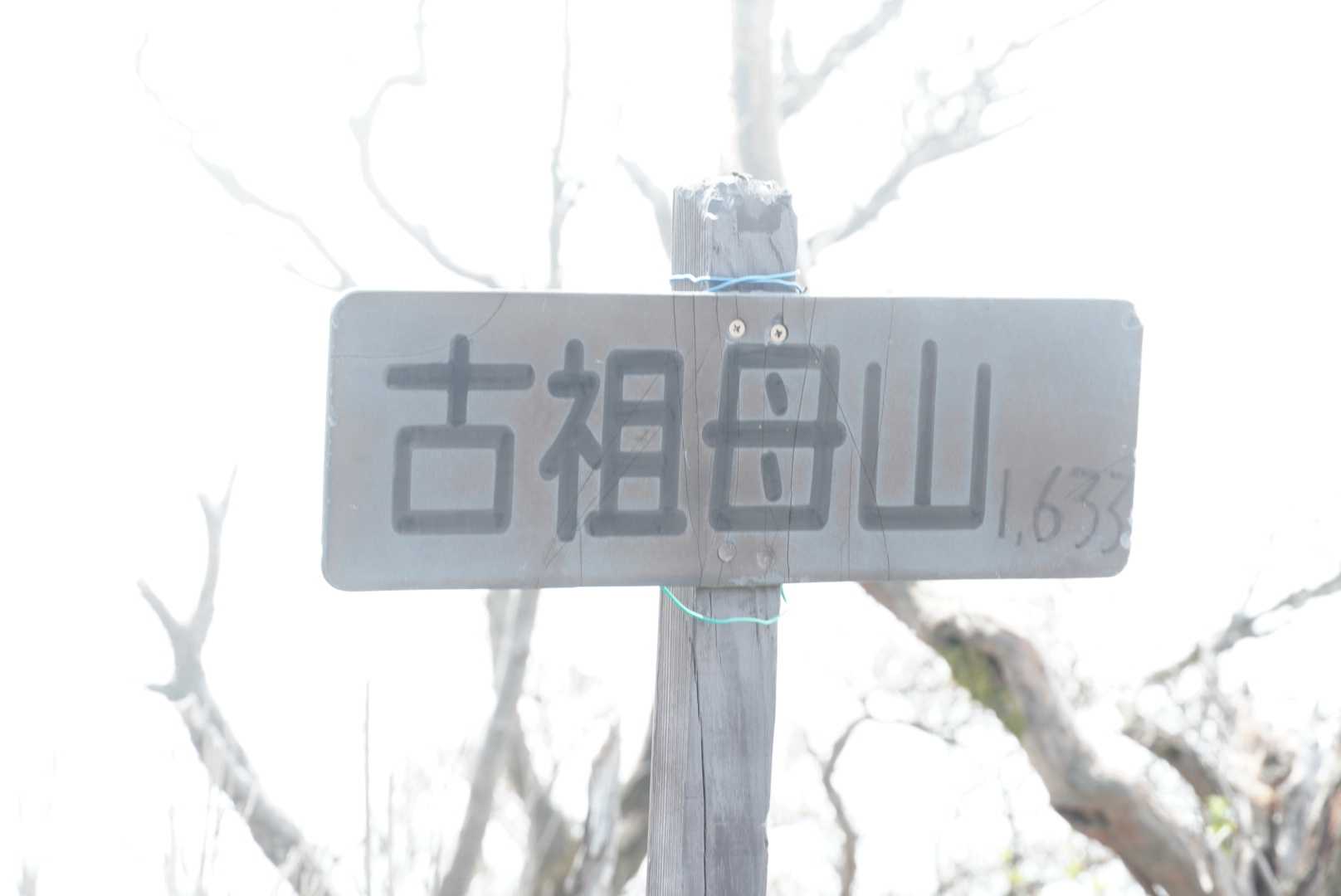 尾平トンネル登山口-尾平越-古祖母山 往復コースの写真