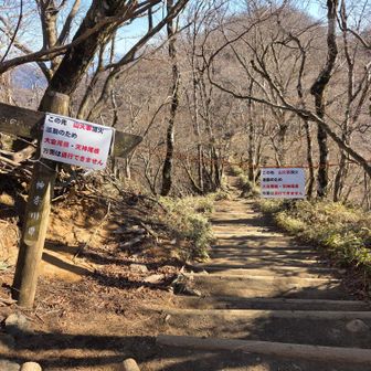 堀山付近の山火事により現在大倉尾根（及び天神尾根）は通行止