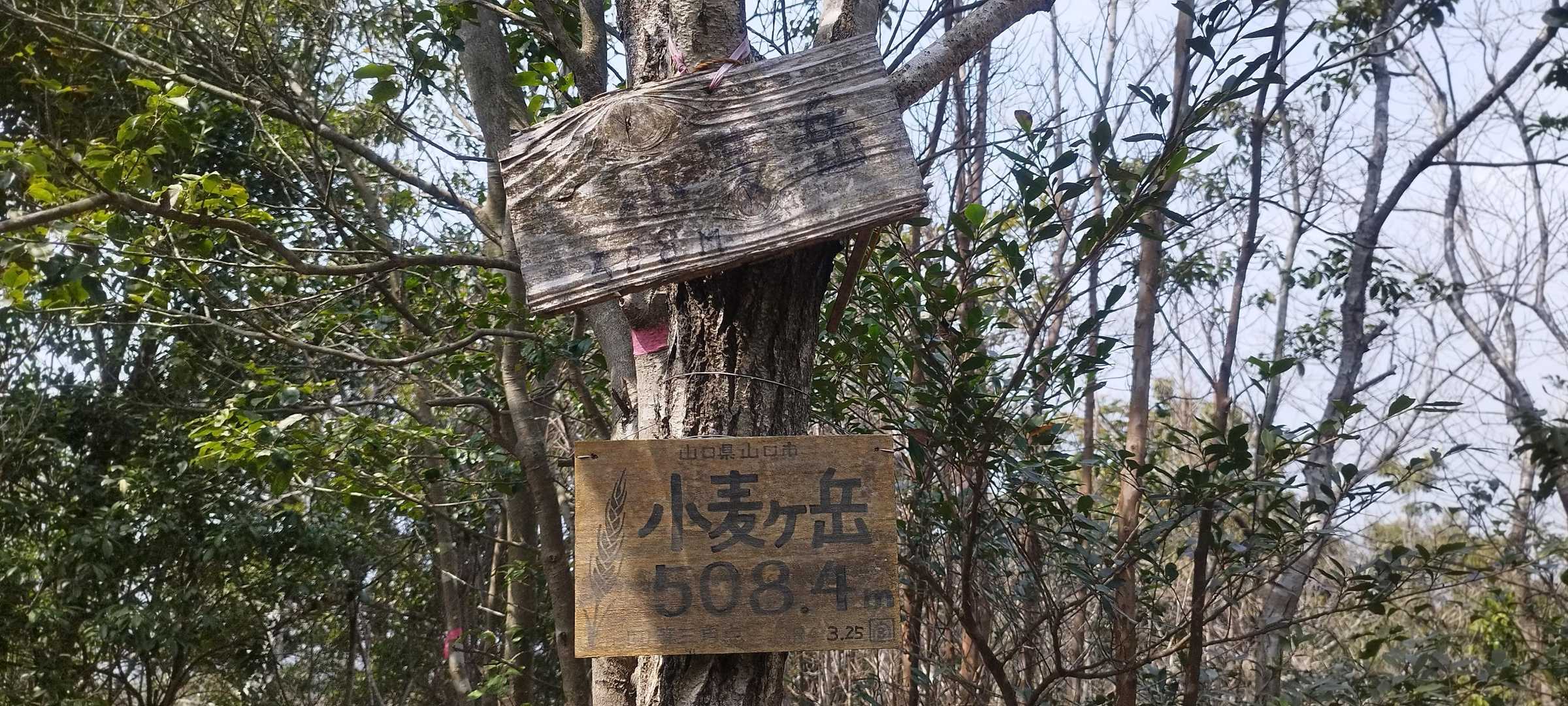 眺望なしの小麦ヶ岳