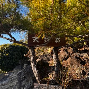 文字が天婦羅に見えた😳