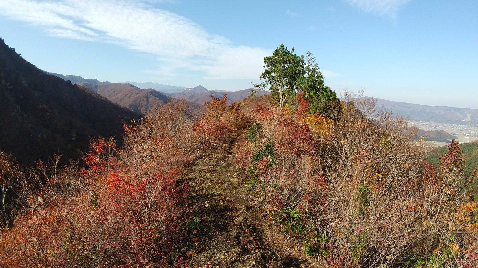 ここは山頂ではないですが眺めは素敵です😄