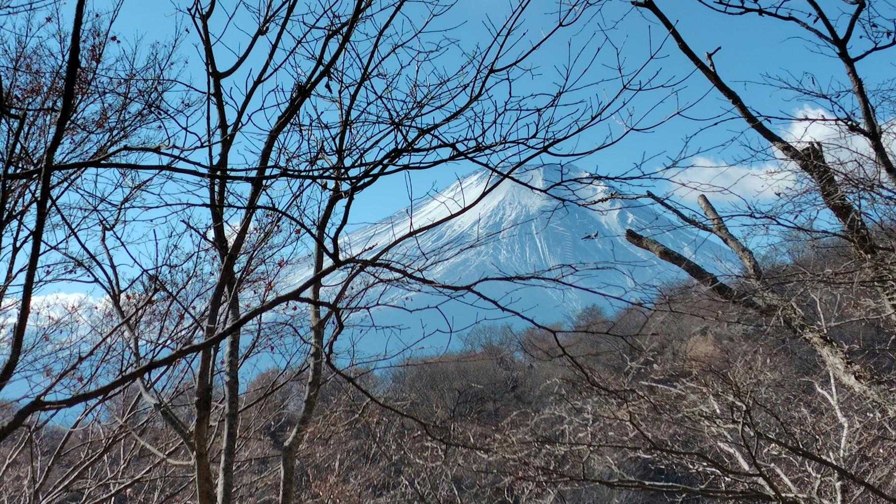 木がなければ絶景ビューポイント🤩