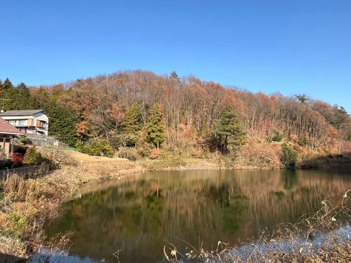 八幡山-鐘撞堂山 周回コースの写真