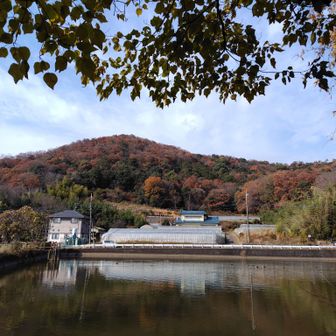 GPSが山頂にこないから堂山は2回登りました💦