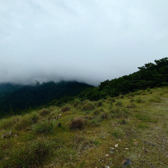 樫戸丸に曇が。
ココから雨雲と競争。
ええ、負けましたとも。
びっしょ。