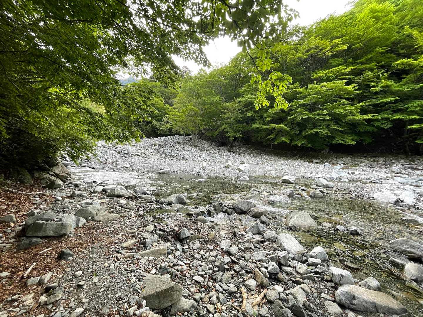 意外と川幅広め