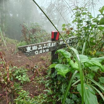 標識