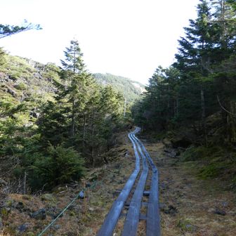 息が白くなるくらいの気温