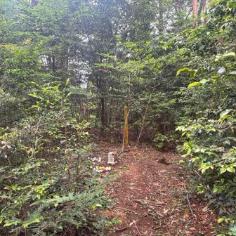 館入沢ノ頭ー。
ゴルフボールが団子みたいにお供えされてた。
