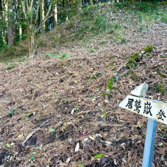 次はイワシダケ🐟🍄⁇